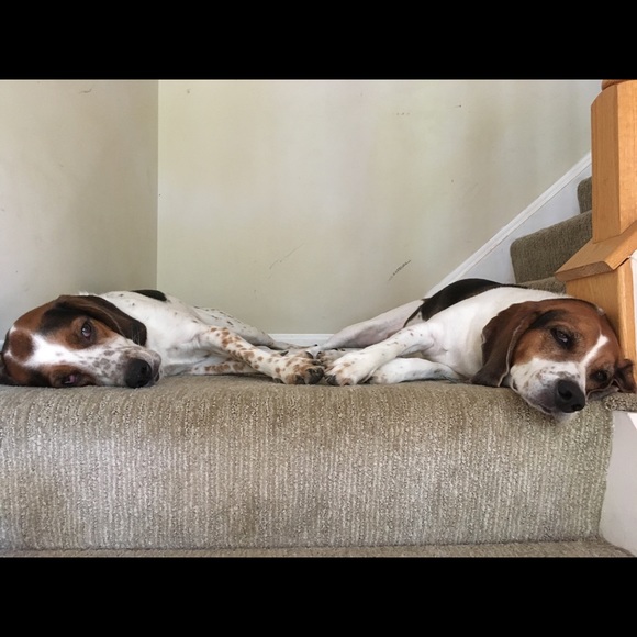 Meet your Posher, Toni - Picture 8 of 8